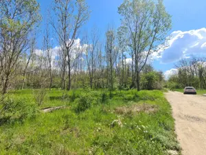 Teren de vanzare / Dem Radulescu - imagine 7