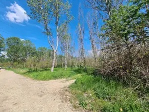 Teren de vanzare / Dem Radulescu - imagine 6