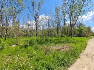 Teren de vanzare / Dem Radulescu - imagine 8