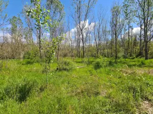 Teren de vanzare / Dem Radulescu - imagine 4