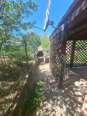 Urgent ocazie investitie casa 400mp+spatii  comerciale, rezidential D+P+E+M - imagine 9