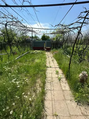 Casă bătrânească de vânzare  - imagine 7 Casă bătrânească de vânzare  - imagine 7