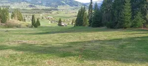 Pf vand teren intravilan Bucovina - imagine 7