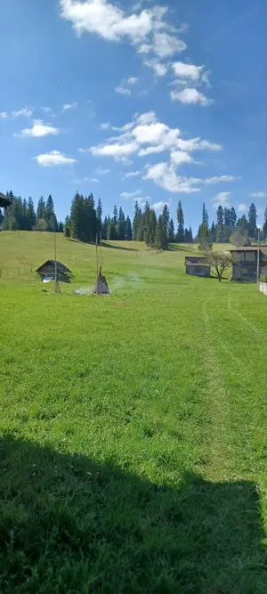 Pf vand teren intravilan Bucovina - imagine 9
