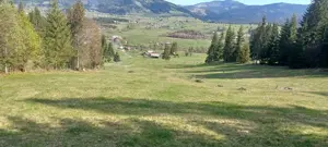 Pf vand teren intravilan Bucovina - imagine 5