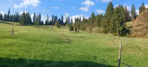 Pf vand teren intravilan Bucovina - imagine 12