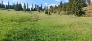 Pf vand teren intravilan Bucovina - imagine 13