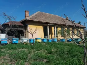 Vând Casă Maglavit -Calea Severinului - imagine 2