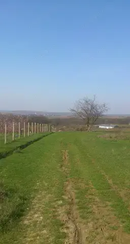 Vand teren intravilan 5500 mp in Saldabagiu de Munte cu panorama deosebita ,orientare sud - imagine 2