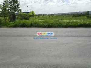 Teren Industrial 3 HECTARE Str Rudeni cu deschidere 50 ML