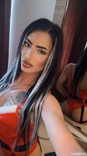 kasy   ts servici de calitate show web 