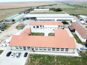 Mecanic intretinere , sculer matriter Industria Amabalajelor de Carton Ondulat