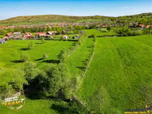 FILM! 2.063 mp de refugiu natural in localitatea Zagon, Covasna - imagine 3