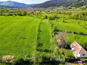 FILM! 2.063 mp de refugiu natural in localitatea Zagon, Covasna - imagine 6