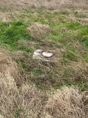 Teren investitie  Palazu Mare - imagine 7