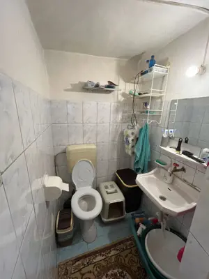 Casa de vanzare Coiciu - imagine 12