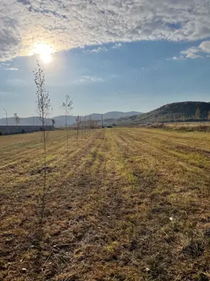 Teren intravilan 3.000 mp, deschidere 28 m, utilități   Măgureni, Prahova - imagine 4