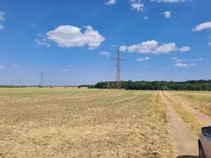 Teren intravilan Balotesti Dumbraveni - imagine 3