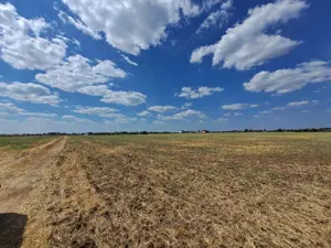 Teren intravilan Balotesti Dumbraveni - imagine 4