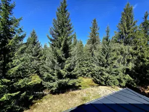 Cabană modernă în Mărișel, 4 dormitoare, teren de 1000mp - imagine 3