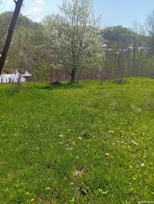 Teren 1000m  de vanzare, cu utilități, aprope de Slănic Prahova 