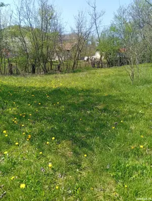 Teren 1000m  de vanzare, cu utilități, aprope de Slănic Prahova  - imagine 2