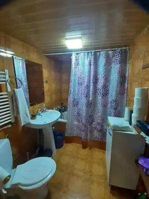 Vanzare Casa + 2 Spatii Comerciale suprafata de 283.mp., in zona Centrala - Str. Rahova - imagine 19