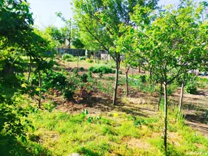 Vând casă  - imagine 3