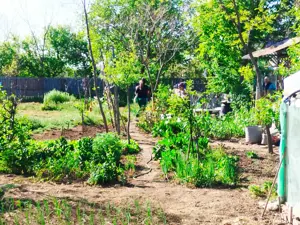 Vând casă  - imagine 4