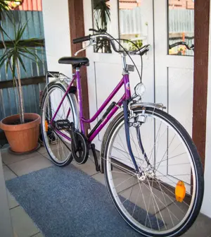 bicigleta clasica 28