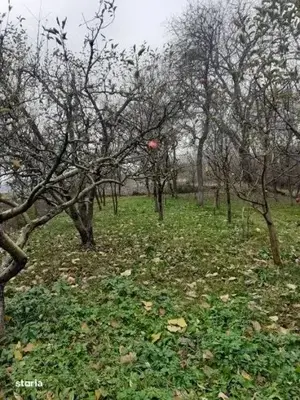 Casa + Teren Vânzare - Rediu, Judetul Cluj - imagine 4