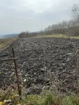 Casa + Teren Vânzare - Rediu, Judetul Cluj - imagine 3