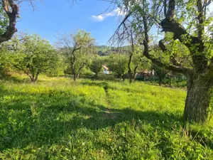 Teren intravilan de vanzare - imagine 4 Teren intravilan de vanzare - imagine 4