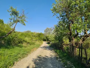 Teren intravilan de vanzare - imagine 3 Teren intravilan de vanzare - imagine 3