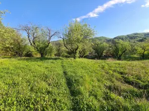 Teren intravilan de vanzare - imagine 2 Teren intravilan de vanzare - imagine 2