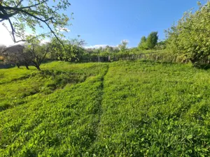 Teren intravilan de vanzare