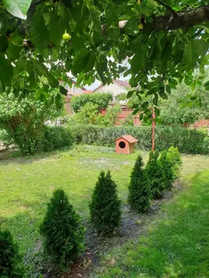 Casa premium ultracentrala Focsani | Curte privata | Ideal investitie - imagine 8