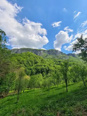 Vând teren Valea Cernei!!!!