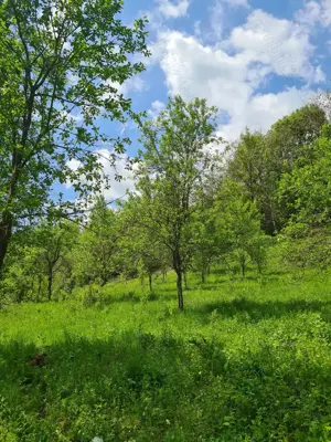 Vând teren Valea Cernei!!!! - imagine 6