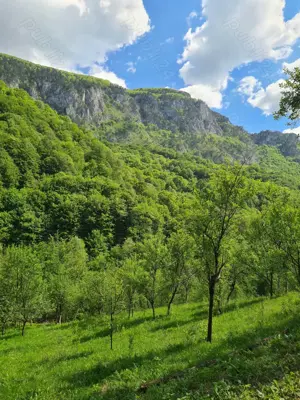 Vând teren Valea Cernei!!!! - imagine 9