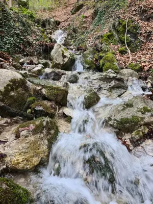 Vând teren Valea Cernei!!!! - imagine 4