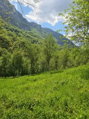 Vând teren Valea Cernei!!!! - imagine 10