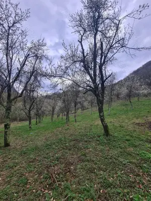 Vând teren Valea Cernei!!!! - imagine 8