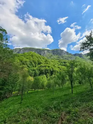 Vând teren Valea Cernei!!!! - imagine 3