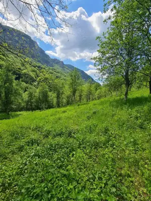 Vând teren Valea Cernei!!!! - imagine 7