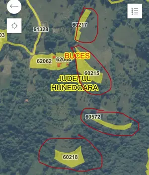 Vand teren cu livezi Buces-Vulcan - imagine 5