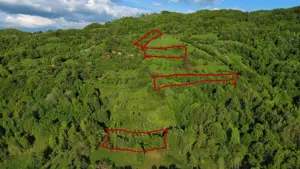 Vand teren cu livezi Buces-Vulcan