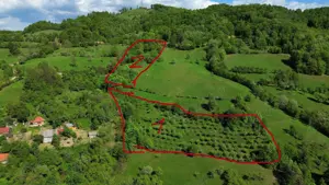 Vand teren cu livezi Buces-Vulcan - imagine 3