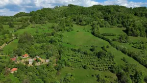 Vand teren cu livezi Buces-Vulcan - imagine 4