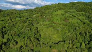 Vand teren cu livezi Buces-Vulcan - imagine 2